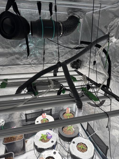 (01.05.2025)DWC. Week 2