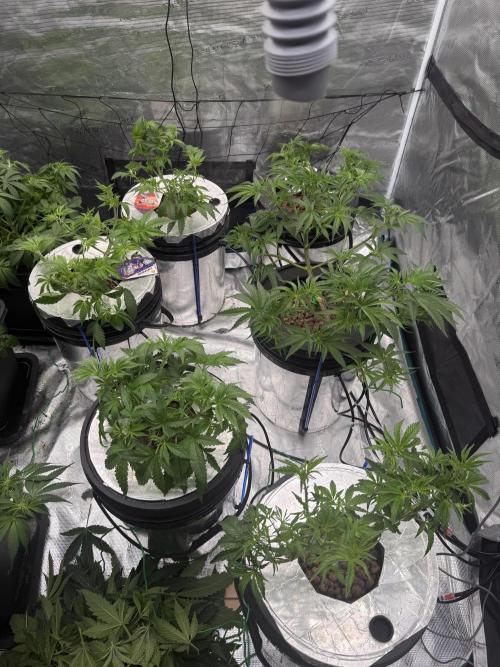 (01.05.2025)DWC. Week 7