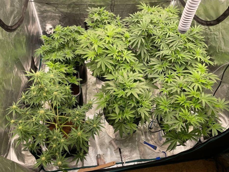 (01.05.2025)DWC. Week 8