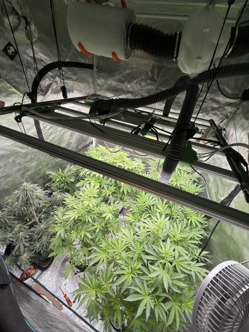 (01.05.2025)DWC. Week 10