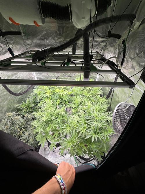 (01.05.2025)DWC. Week 10