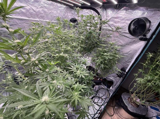 (01.05.2025)DWC. Week 12