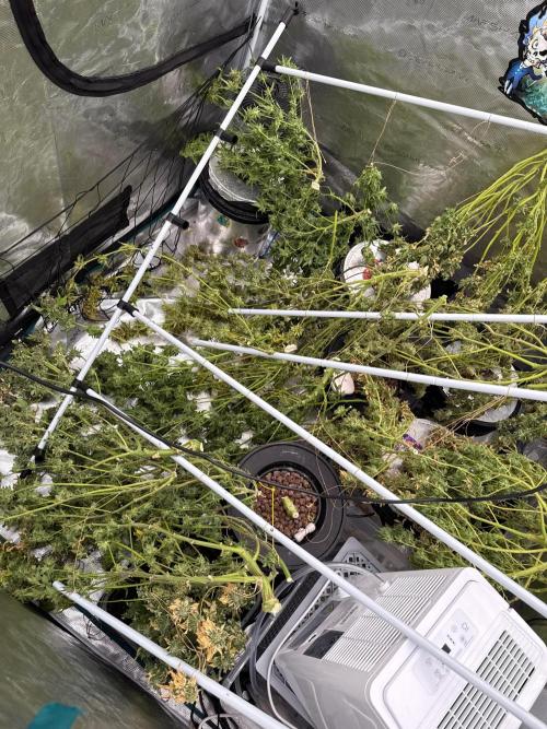 (01.05.2025)DWC. Week 20
