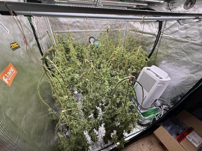 (01.05.2025)DWC. Week 20