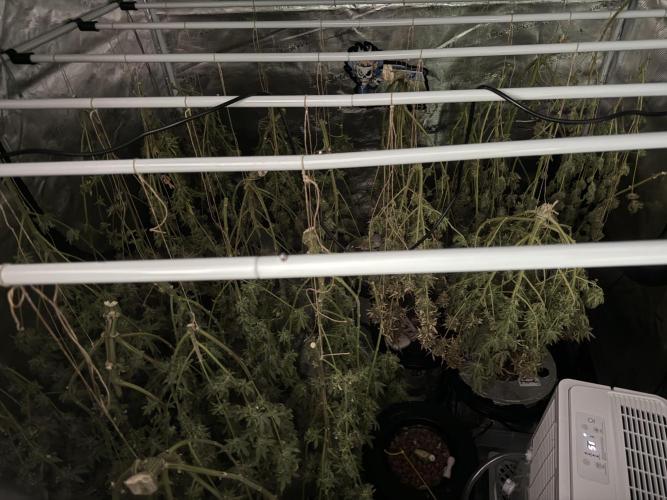 (01.05.2025)DWC. Week 20