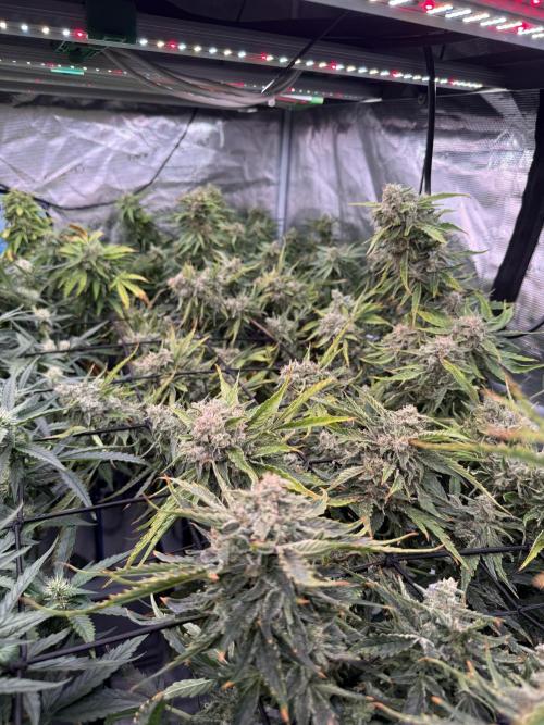 10.03.2026. Week 10