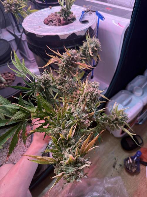 10.03.2026. Week 11