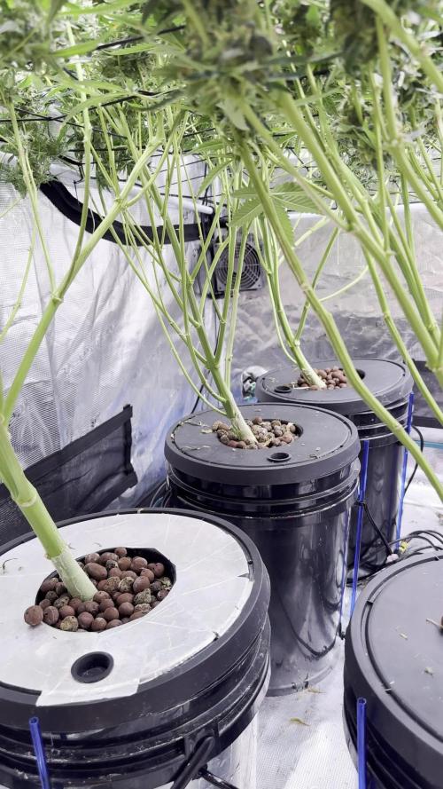 FastGrow(09.04.2026)