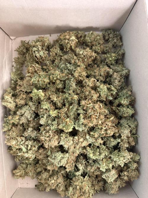 FastGrow. Week 12