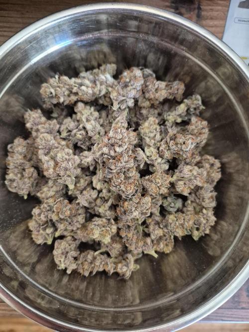 Fx3, Pink Milk & Limonario. Week 15 - Pink Milk #2 