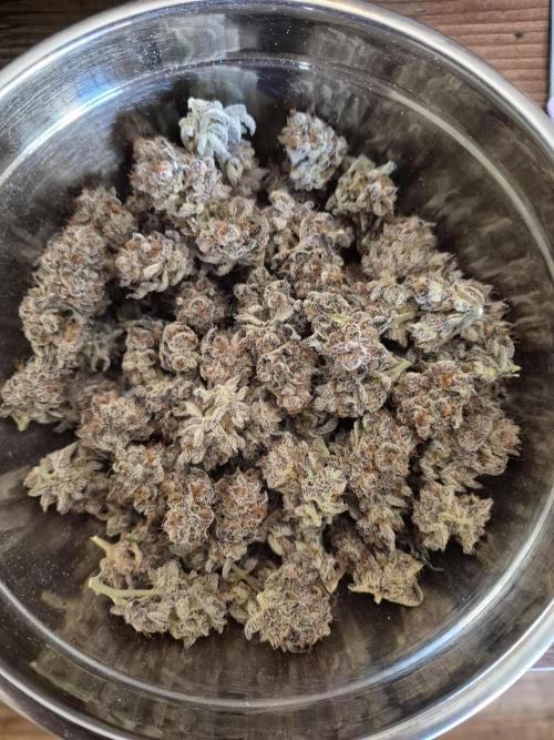 Fx3, Pink Milk & Limonario. Week 15 - Pink Milk #3 
