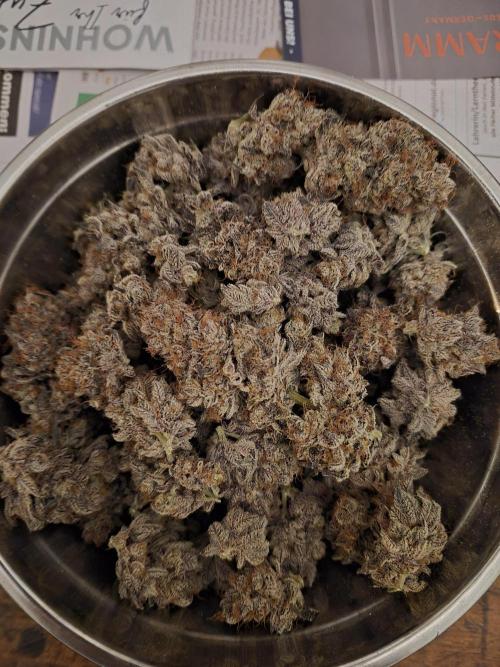 Fx3, Pink Milk & Limonario. Week 15 - Pink Milk #1 