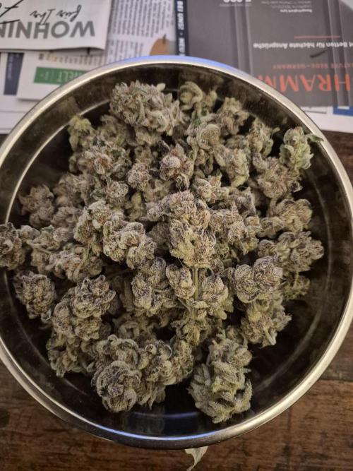 Fx3, Pink Milk & Limonario. Week 15 - Fx3 #3 