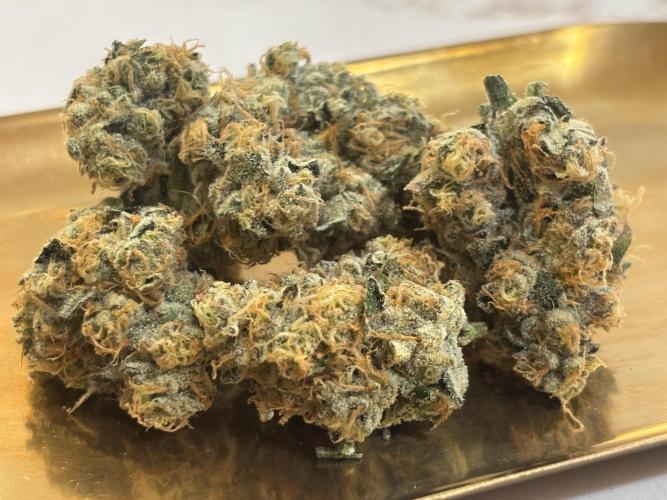 🌱 Crop_Top - 1st Grow EVER 🌱. Week 15