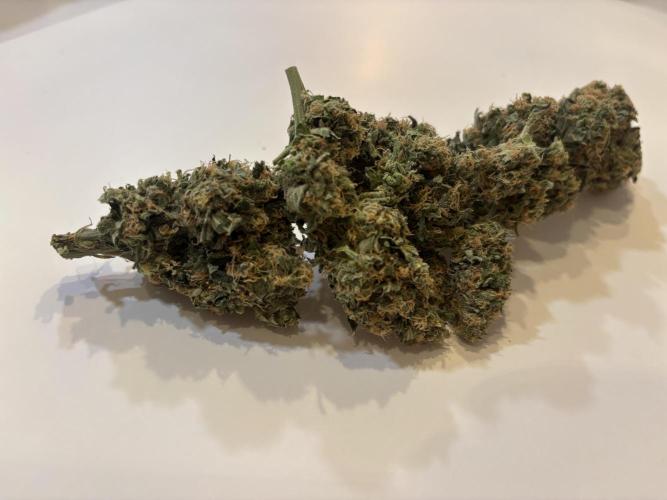 🌱 Crop_Top - 1st Grow EVER 🌱. Week 15