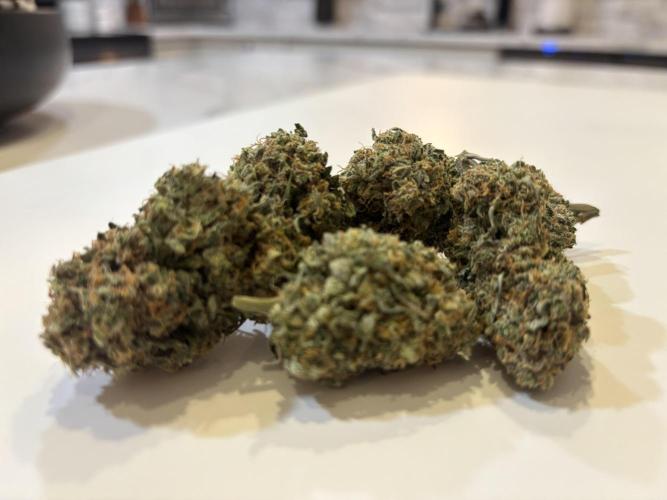 🌱 Crop_Top - 1st Grow EVER 🌱. Week 15