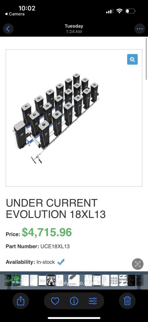 1st RDWC Grow. Week 9