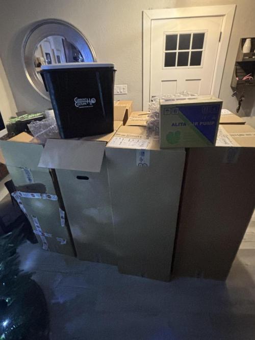 1st RDWC Grow. Week 11