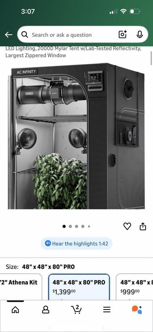 Current Culture System - Test Run. Week 3