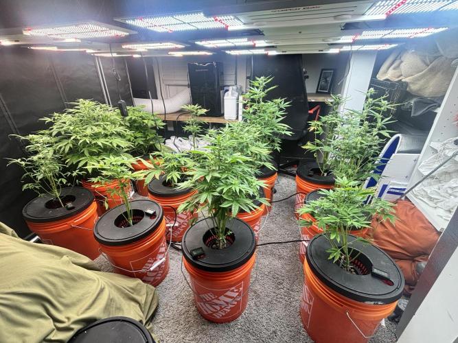 Current Culture System - Test Run. Week 7