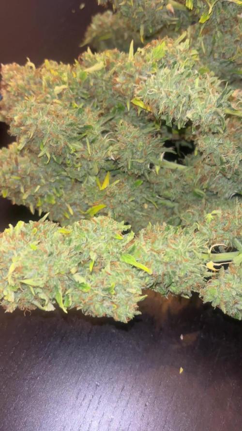 Cheese, Orange Haze & Cotton Berry