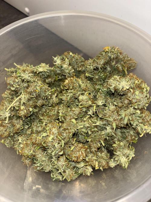 Cheese, Orange Haze & Cotton Berry. Week 11