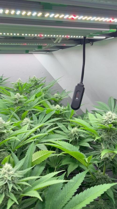 Nectar Drip - High Pressure Aeroponics