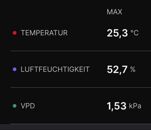 Nectar Drip - High Pressure Aeroponics. Week 12