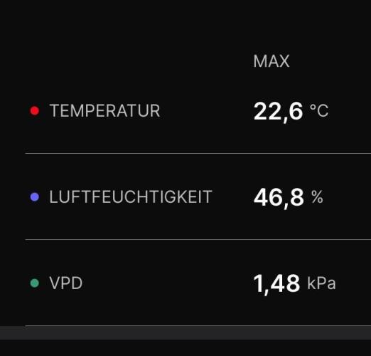 Nectar Drip - High Pressure Aeroponics. Week 13
