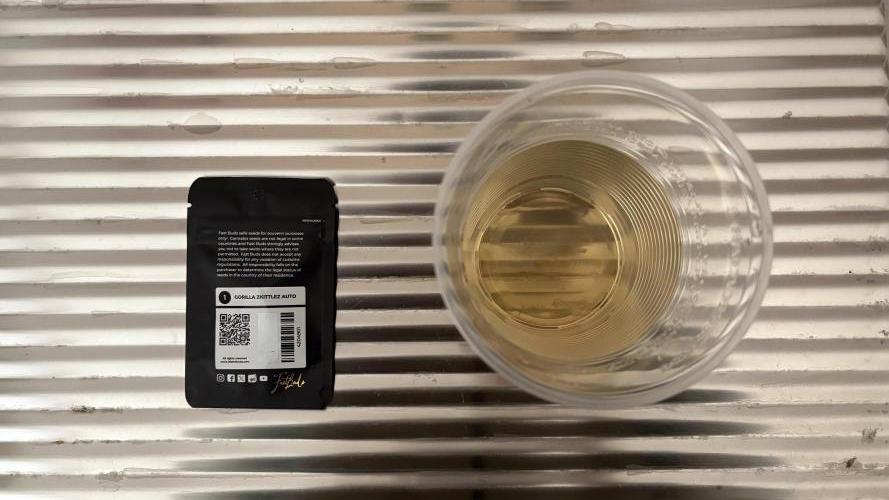 Fast Buds Gorilla Zkittlez Auto 2026Q1. Week 0