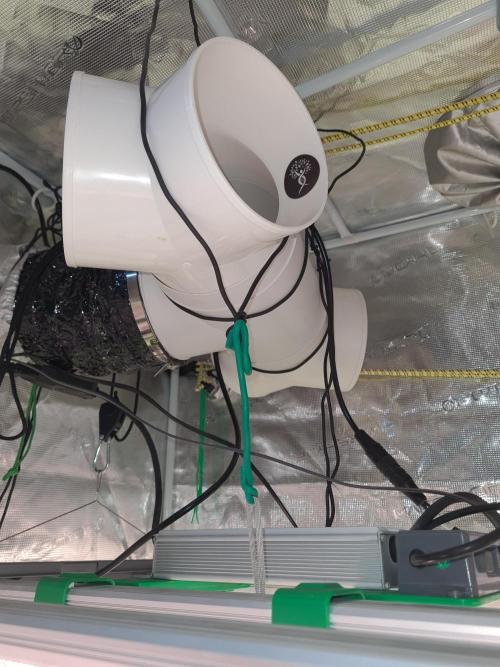 research-genetics.com (Indoor). Week 4