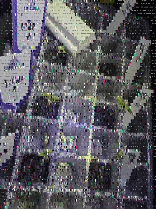 Dognabis#006P. Week 1