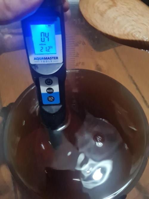 Dognabis#006P. Week 2