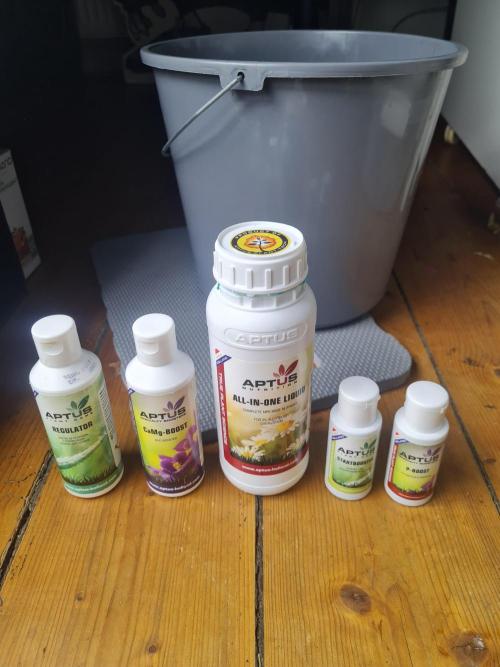 Dognabis#006P. Week 7