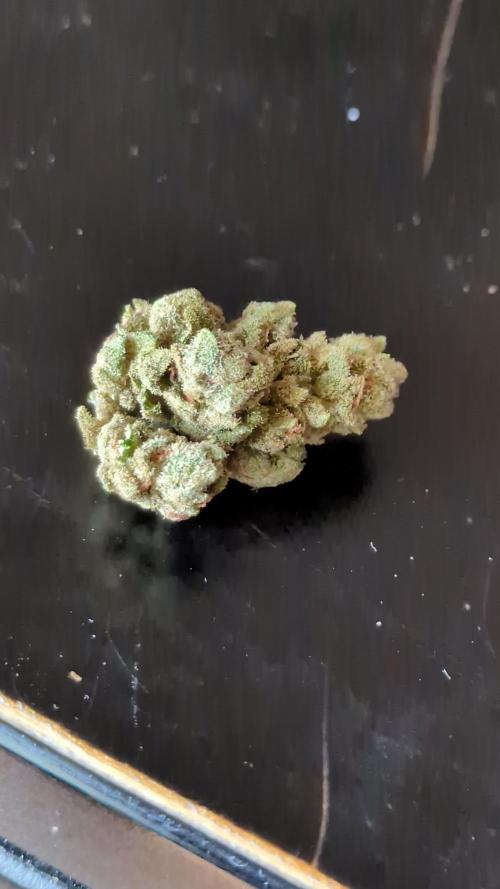 Guerrilla fastbuds🇮🇹