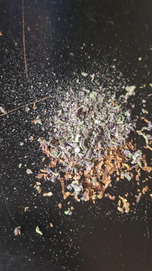 Guerrilla fastbuds🇮🇹