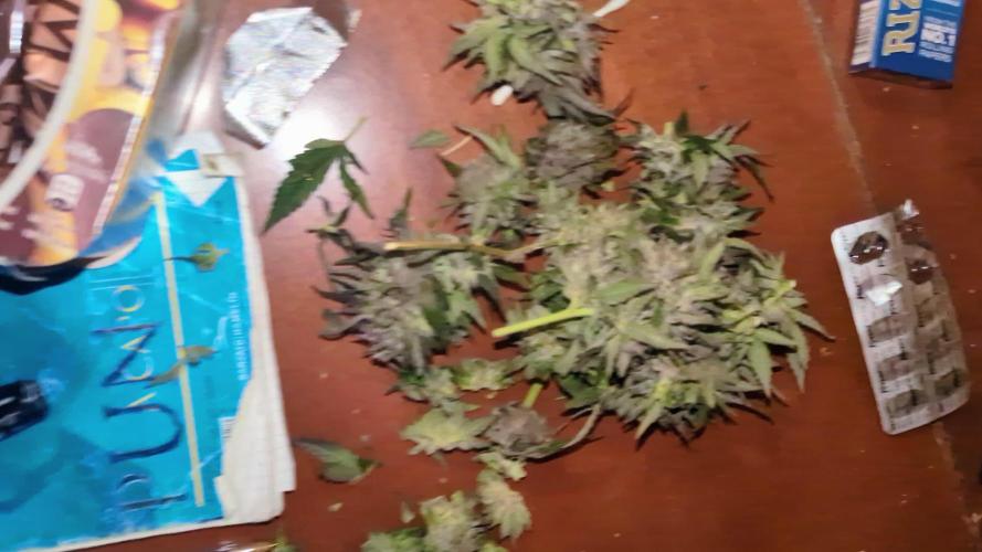 Guerrilla fastbuds🇮🇹