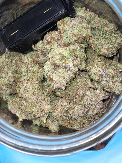 Mountain Man OG f2 keeper. Week 13