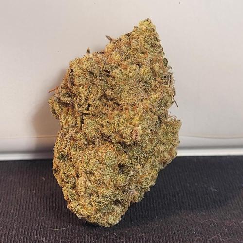 Mountain Man OG f2 keeper. Week 13