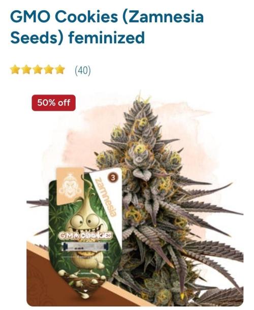 GMO Cookies (Zamnesia seeds). Week 0