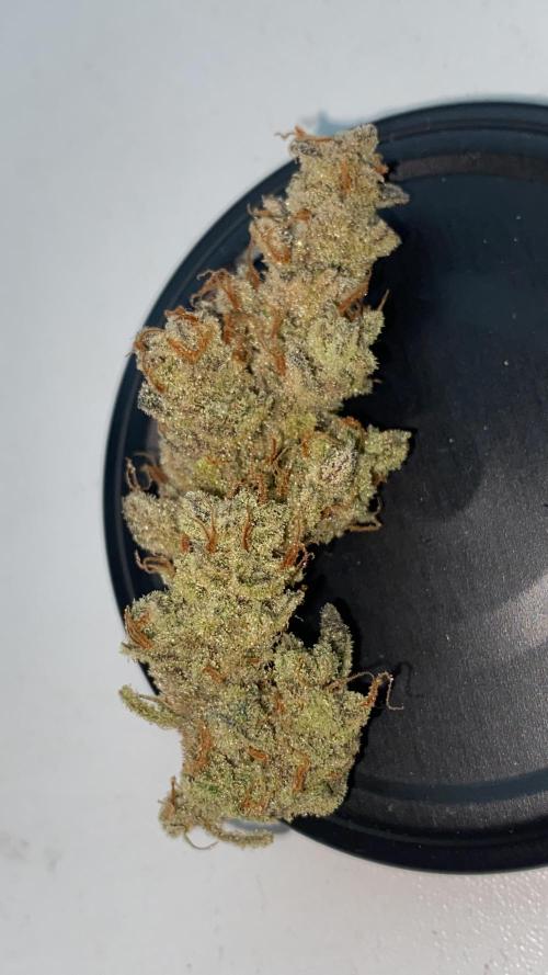 Permanent Jealousy || Pineapple Slush. Week 14