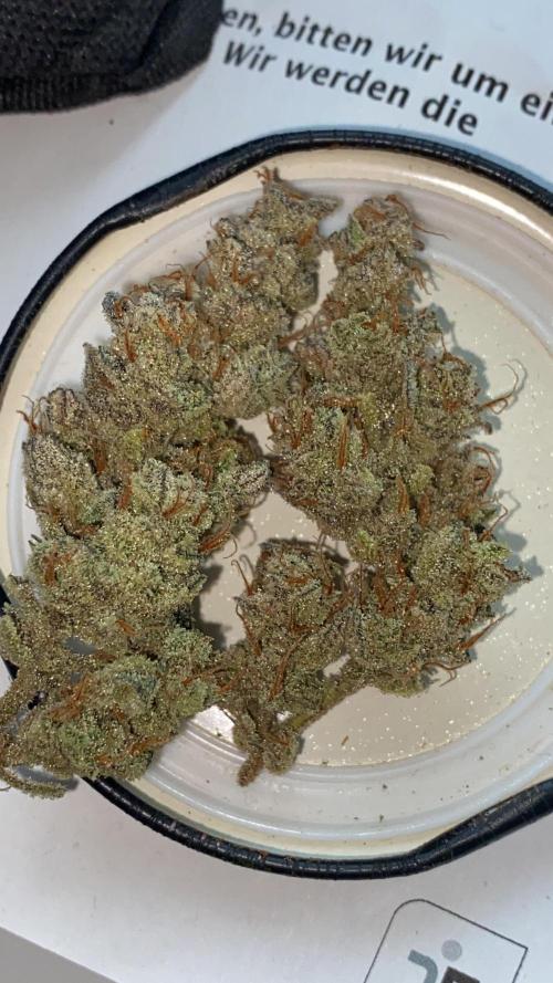 Permanent Jealousy || Pineapple Slush. Week 14