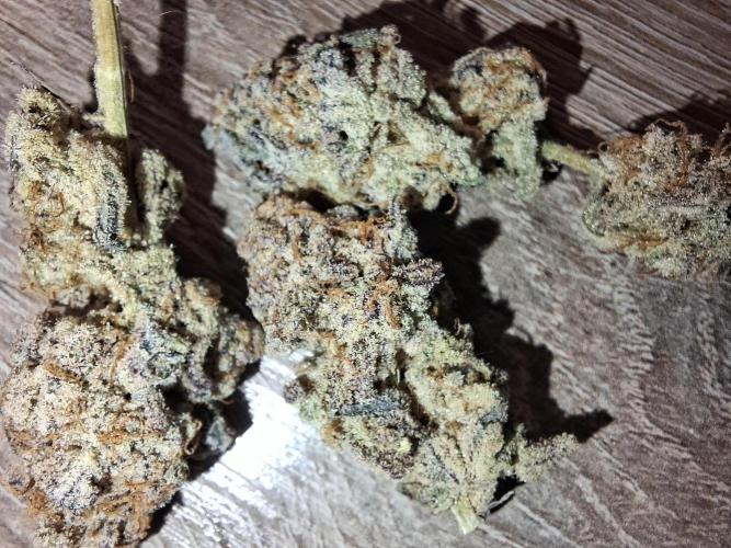 Bruce Banner (Dark Horse). Week 16