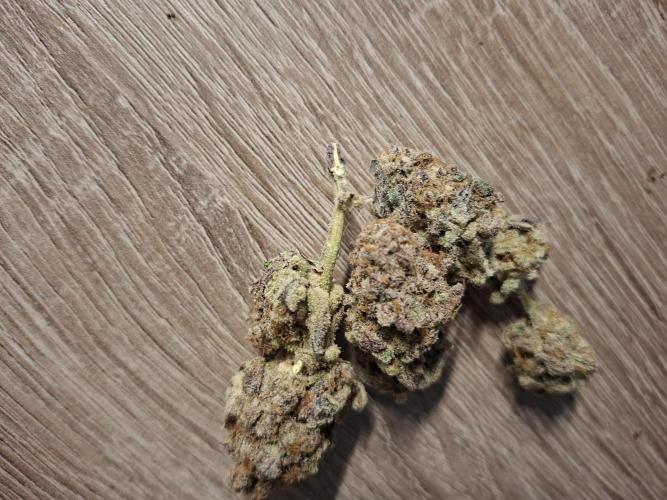 Bruce Banner (Dark Horse). Week 16