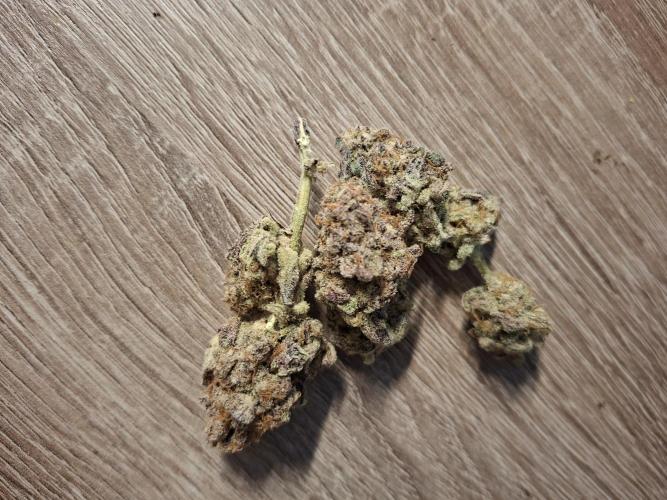 Bruce Banner (Dark Horse). Week 16