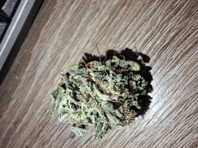 Desfrán - Dutch Passion. Week 15