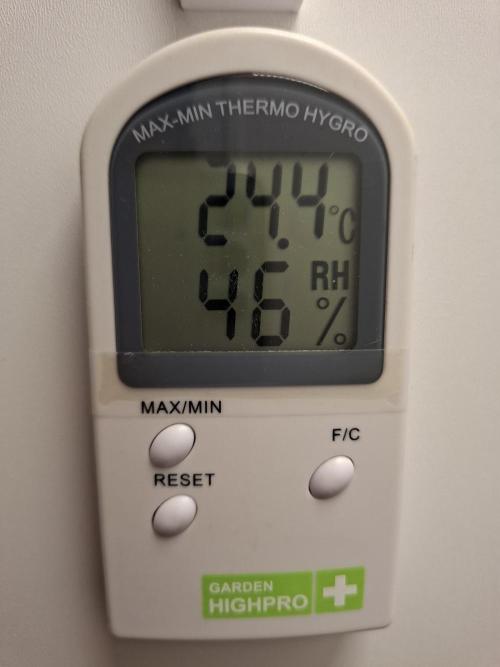 Rainbow Sherbet #11 Feminized - Kannabia. Week 1