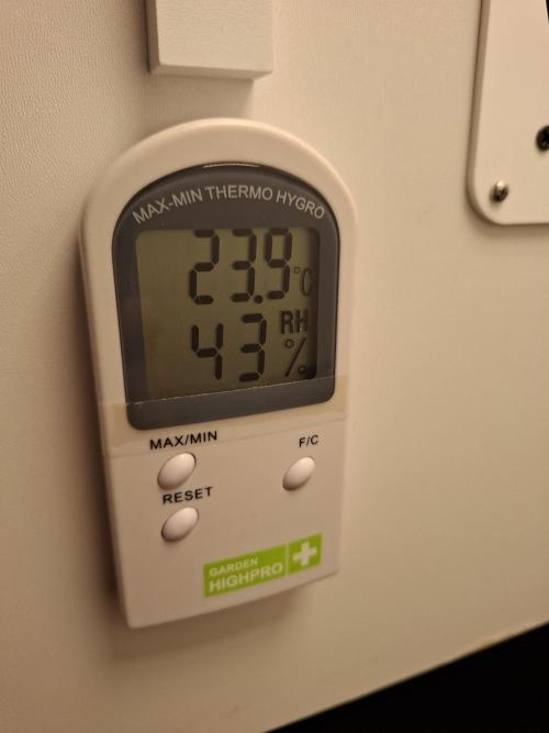 Rainbow Sherbet #11 Feminized - Kannabia. Week 1 - Day 4