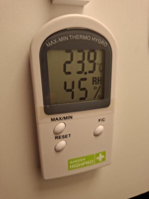 Rainbow Sherbet #11 Feminized - Kannabia. Week 2 - Day 8