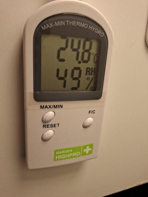 Rainbow Sherbet #11 Feminized - Kannabia. Week 2 - Day 11